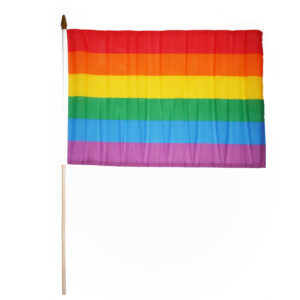 Fahne "Rainbow" mit Stab groß      