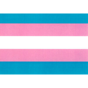 Postkarte "Trans*"