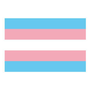 Fahne "Trans*"