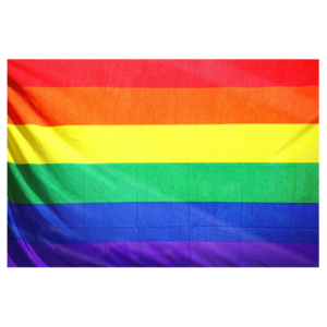Fahne „Rainbow XL“