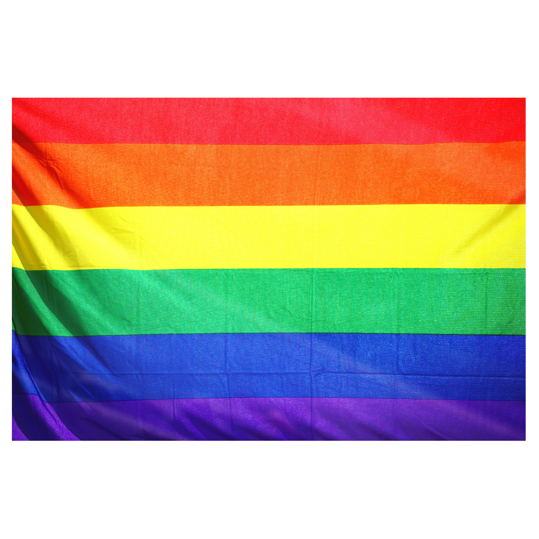 Fahne „Rainbow XL“